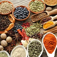 Orient Food