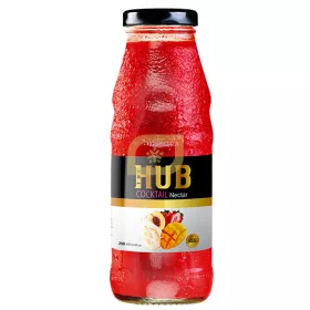 Gyümölcsös ital 250ml, Hub